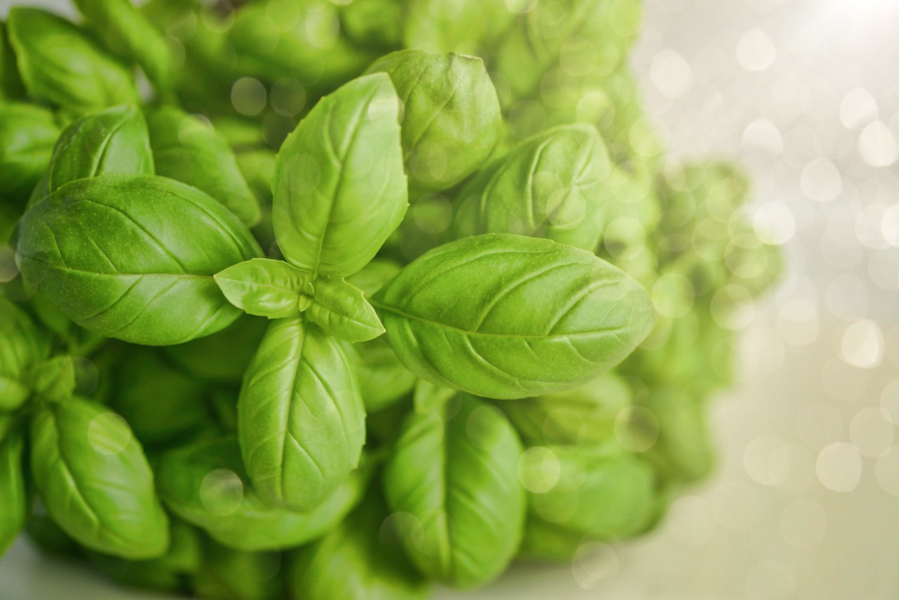 Bet You Never Knew Basil Could Do This… 6 Health Benefits of Basil