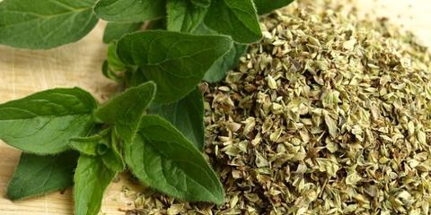 Use These Antiviral Herbs to Fight the Flu