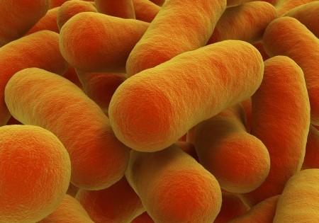 Good News for Anyone Worried About Antibiotic-Resistant Super-Bugs