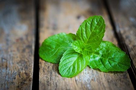 4 Amazing Health Benefits of Peppermint Oil
