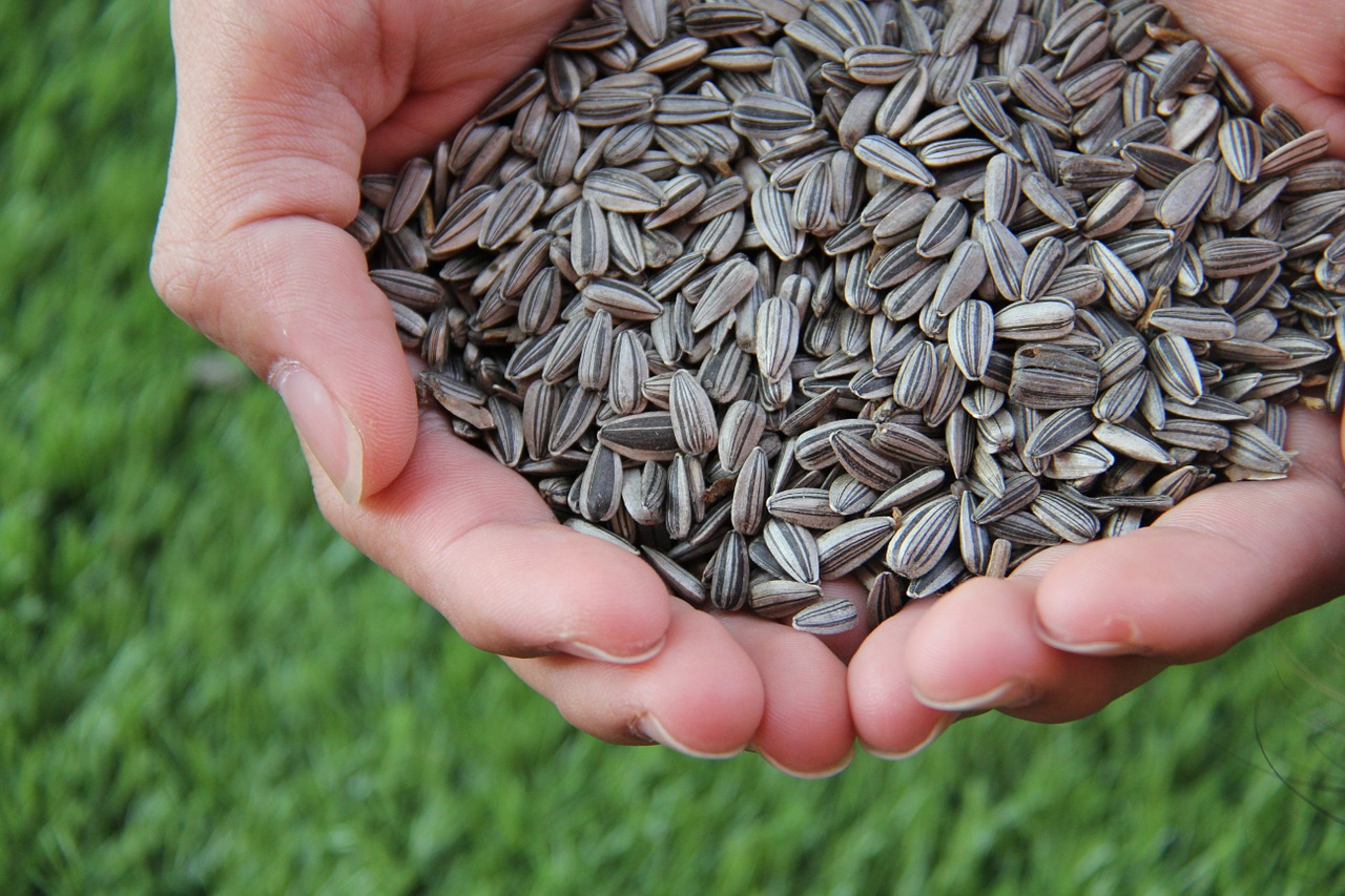 A Cool Way to Use Sunflower Seeds For Brain Health!
