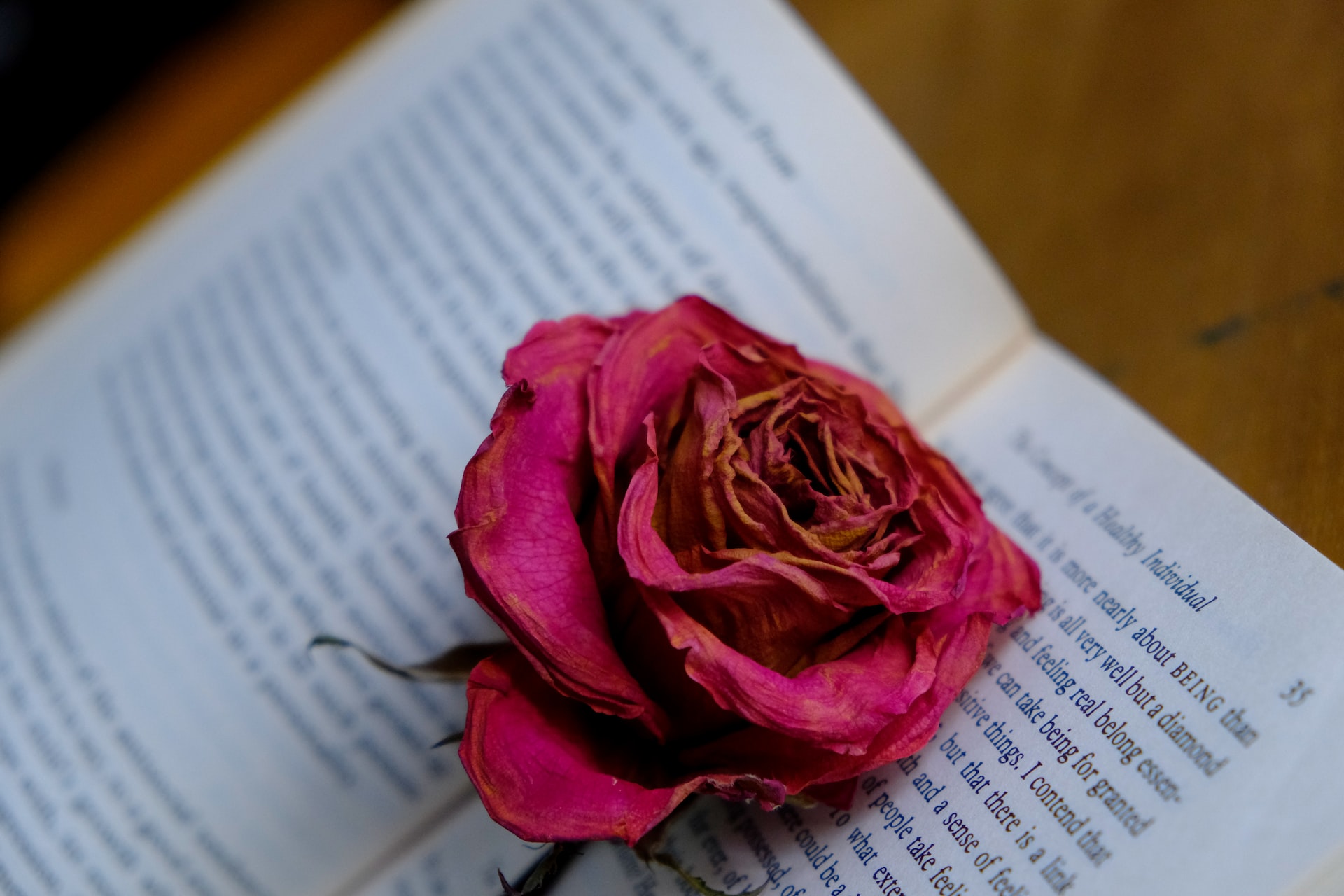 Discover Bibliotherapy’s Amazing Power to Change Your Life