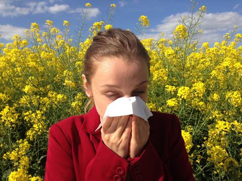 How To Stop Allergies – Naturally