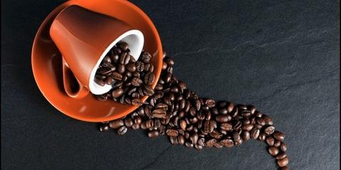Harvard University Finds Coffee Is Proven to Help You Live Longer