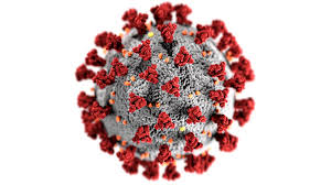 How Coronavirus Produces Massive Inflammation