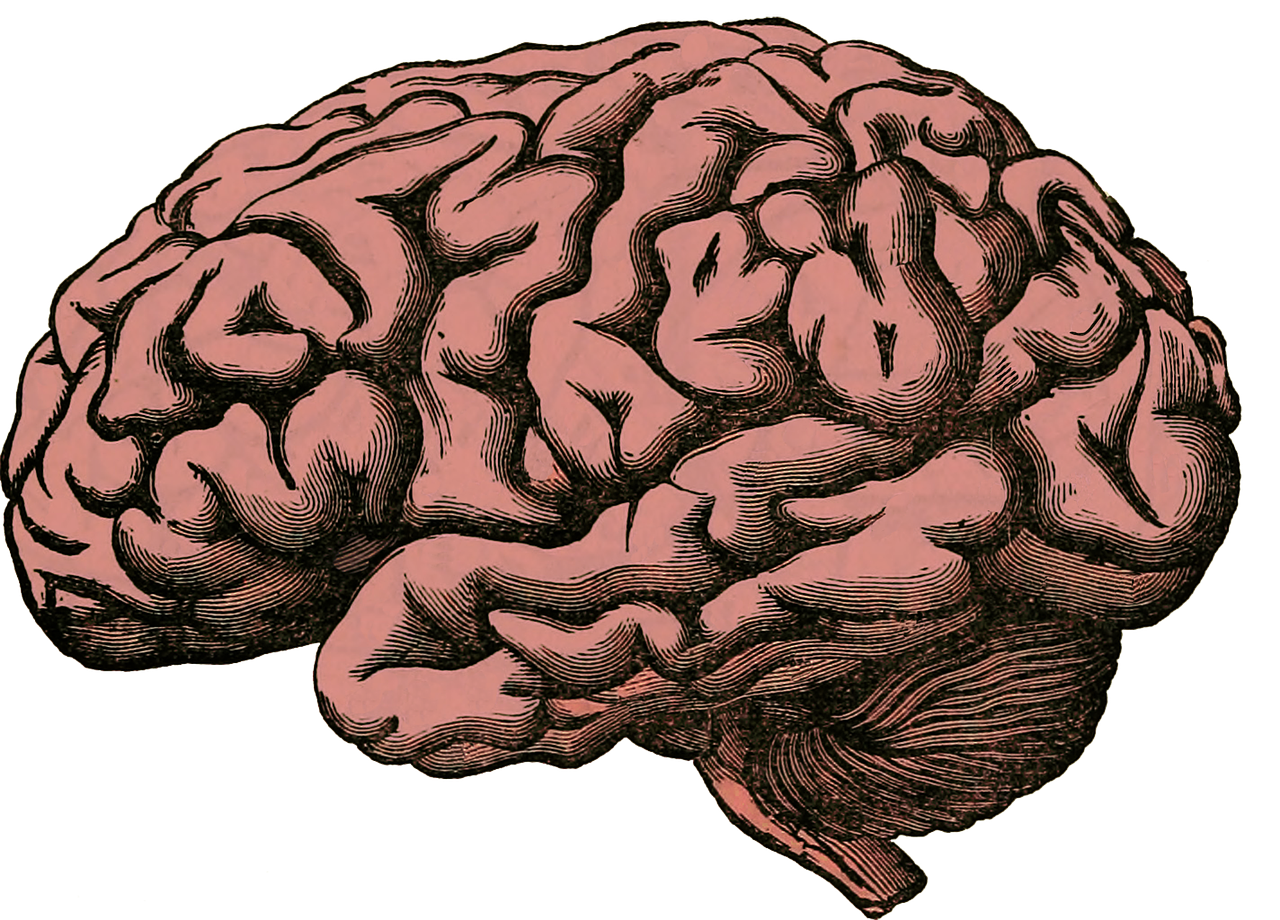 Using NeuraVena® To Boost Brain Health