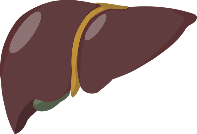 Eating Liver and Liking It?